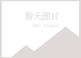 平川区夜蓉咨询有限公司